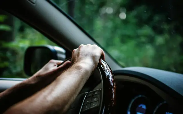 Ruka vozača na volanu automobila tokom vožnje kroz šumski predeo